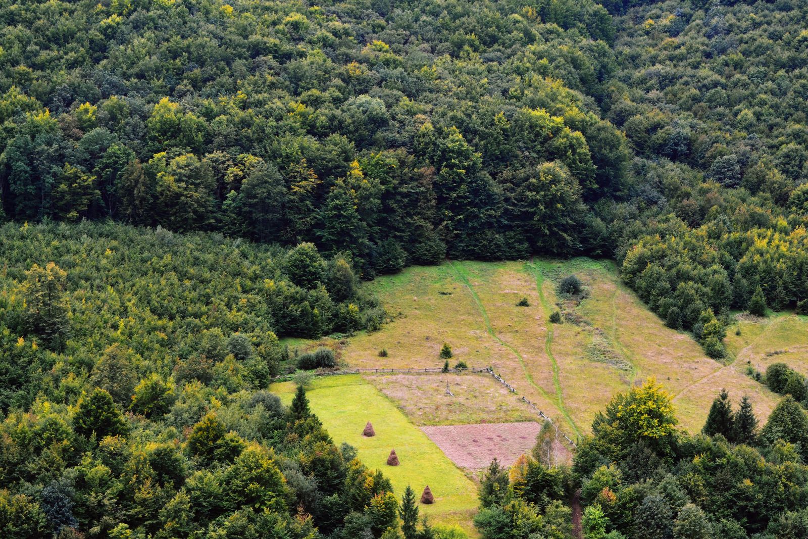 Vedere aeriană cu pădure și teren agricol în zona Poligonului Gârleni — trageri militare în septembrie