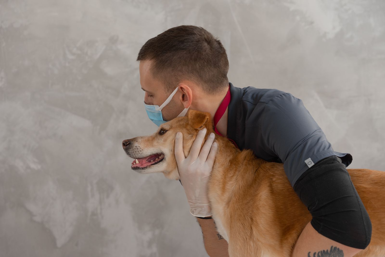 Medic veterinar îmbrățișând un câine — programul de sterilizare gratuită din Hemeiuș